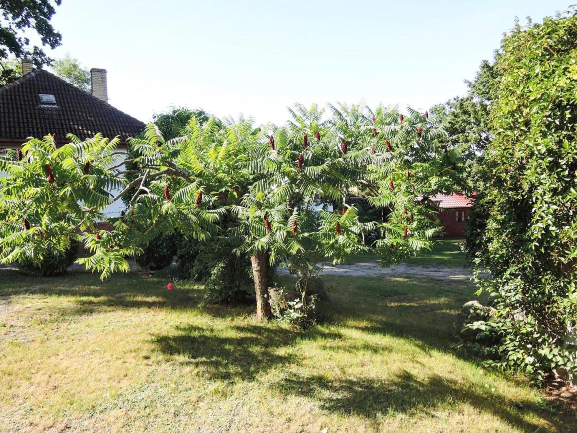 Bungalow In Lubin At 300 M From The Lake Extérieur photo